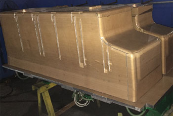 Door Foaming Mold